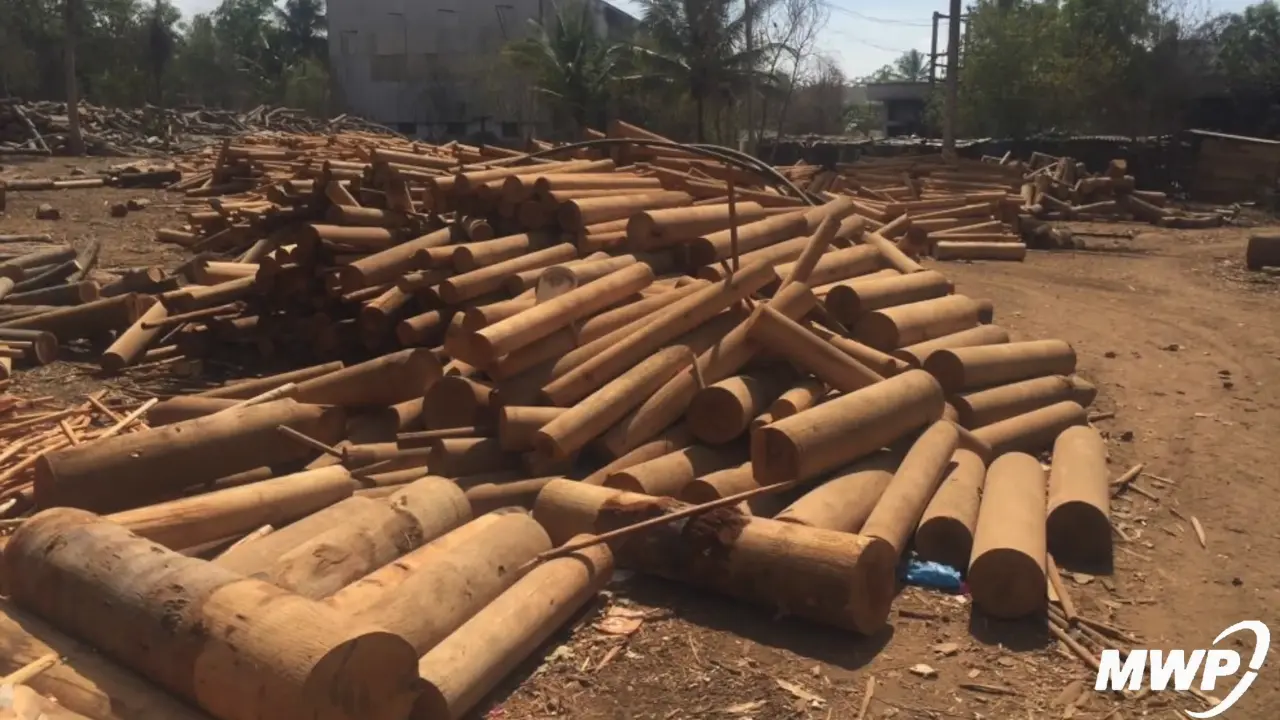 Plywood Pressing Machine Factory