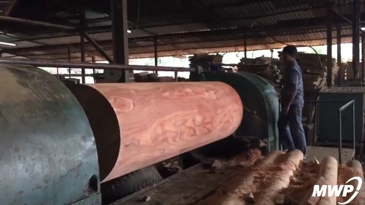 Maheshwari Plywoods Manufacturing Unit